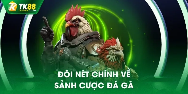 Đôi nét chính về sảnh cược đá gà